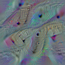 n04118776